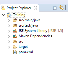 selenium-maven-project-explorer